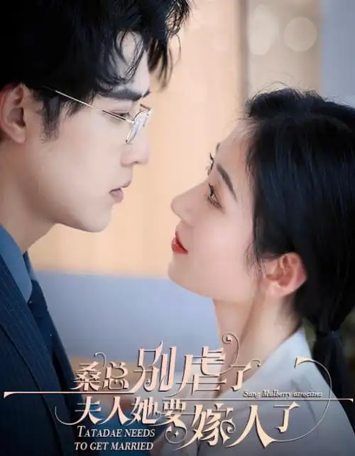 第二十条-骑士影院在线观看